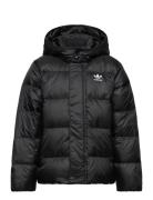 Down Jacket Elo Fodrad Jacka Black Adidas Originals