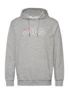 FILA Salitto Hoody Grå