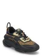 Steve Madden Belissimo Sneaker Svart