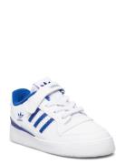 Adidas Originals Forum Low I Vit