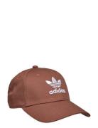 Adidas Originals Adicolor Classic Trefoil Baseball Cap Brun