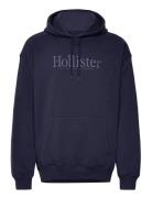 Hollister Hco. Guys Sweatshirts Marinblå