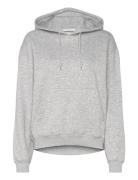 Weekday Standard Hoodie Grå