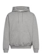 Woodbird Wbpacs Base Hoodie Grå