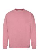 Scotch & Soda Essential 3 Crosses Program Sweatshirt Rosa