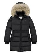 Tommy Hilfiger Long Waisted Down Jacket Svart