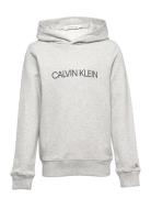 Calvin Klein Institutional Logo Hoodie Grå