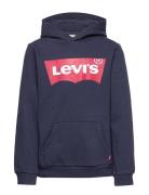 Levi's Levi's® Batwing Screenprint Hooded Pullover Blå