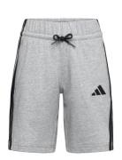 Adidas Sportswear J 3S Kn Sh 210 Grå