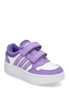 Adidas Sportswear Hoops 3.0 Bold Cf C Lila