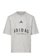 Adidas Sportswear J Allszn Gfx T Grå