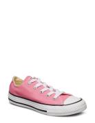 Converse Yths C/T Allstar Ox Pink Rosa