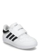 Adidas Sportswear Hoops 4.0 Cf I Vit