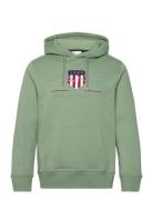 GANT Reg Archive Shield Hoodie Khaki Green