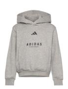 Adidas Sportswear J Allszn Gfx Hd Grå