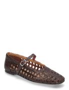 MIISTA Yeida Chocolate Brown Ballerina Brun