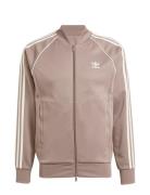 Adidas Originals Sst Tt Brun