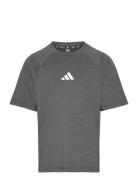 Adidas Sportswear J Gt Pz Tee Grå