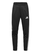 Adidas Sportswear U Tr-Es 3S Pant Svart