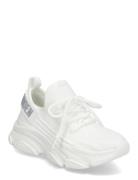 Steve Madden Jprotégé Sneaker Vit