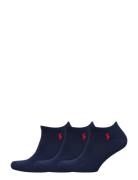 Polo Ralph Lauren Low-Cut Cotton Sock 3-Pack Blå