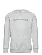 Björn Borg Borg Essential 3 Sweatshirt Grå