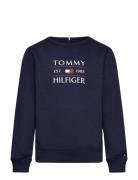 Tommy Hilfiger Tommy Flag Hilfiger Sweatshirt Marinblå