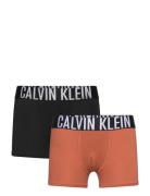 Calvin Klein 2Pk Trunk Svart