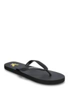 Lyle & Scott Flip Flop Svart