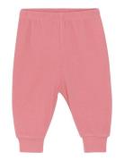 CeLaVi Pants - Solid Rosa