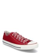 Converse Ctas Ox Days Ahead/White/Horizon Pink Röd