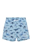 Color Kids Swim Shorts, Aop Blå