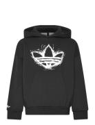 Adidas Originals Loose Hoodie Svart